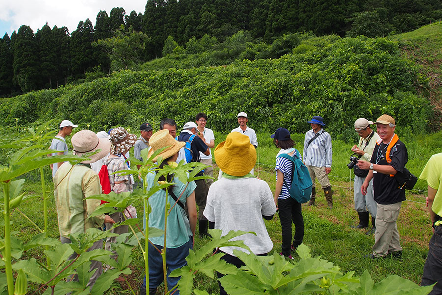 子ども農山漁村交流<br>プロジェクト